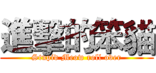 進擊的笨貓 (Stupid Meow roll over)