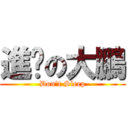 進擊の大鵬 (Don\'t Sleep)