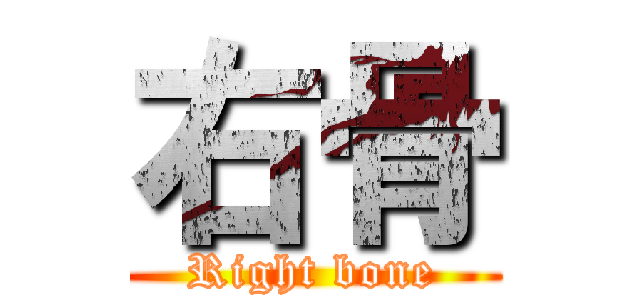 右骨 (Right bone)