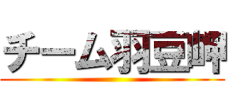 チーム羽豆岬 ()