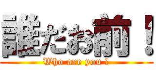 誰だお前！ (Who are you ?)