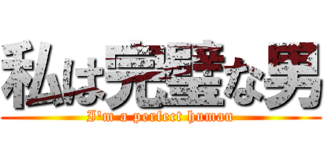 私は完璧な男 (I'm a perfect human)