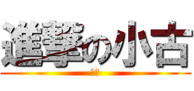 進撃の小古 (の妹)