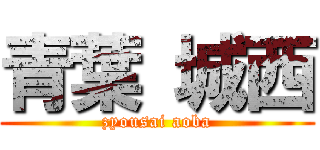 青葉 城西 (zyousai aoba)
