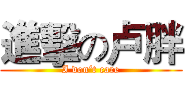 進擊の卢胖 (I don‘t care)