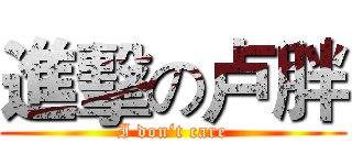 進擊の卢胖 (I don‘t care)