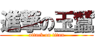 進撃の玉蠶 (attack on titan)