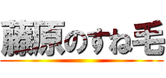 藤原のすね毛 ()