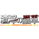 渣滓の蟲草 (zaza chongcao)