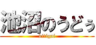 池沼のうどぅ (kitigai)