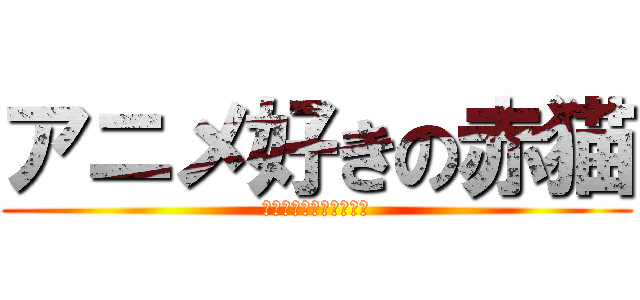 アニメ好きの赤猫 (中二病ではないのだ‼︎)