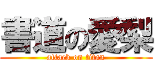 書道の愛梨 (attack on titan)