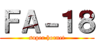 ＦＡ－１８ (super hornet)