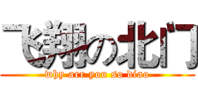 飞翔の北门 (why arr you so diao)