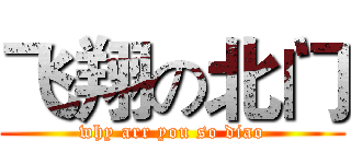 飞翔の北门 (why arr you so diao)