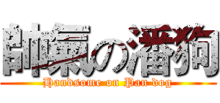 帥氣の潘狗 (Handsome on Pan dog)