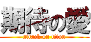 期待の愛 (attack on titan)