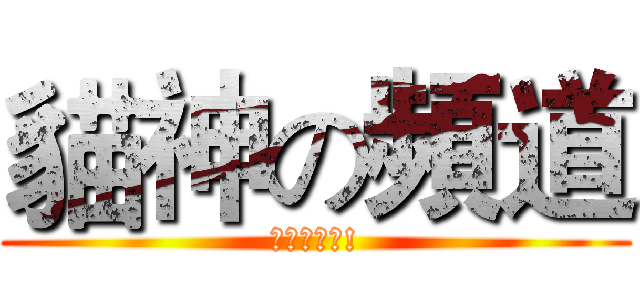 貓神の頻道 (請訂閱我唷!)