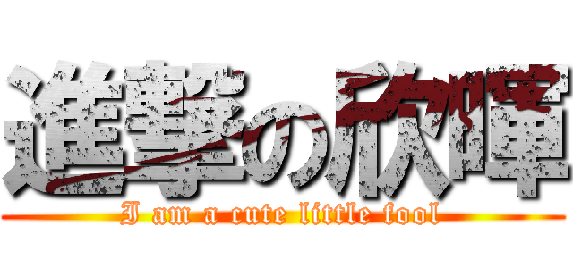進撃の欣暉 (I am a cute little fool)