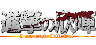 進撃の欣暉 (I am a cute little fool)