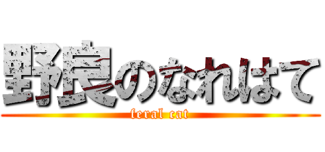 野良のなれはて (feral cat)