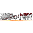 進撃の小胖崽 (attack on Chubby)