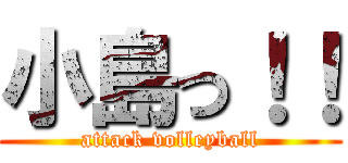 小島っ！！ (attack volleyball)