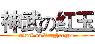 神武の红玉 (attack on lianghongyu)