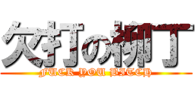 欠打の柳丁 (FUCK YOU BITCH)