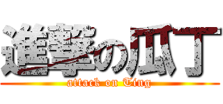 進撃の瓜丁 (attack on Ting)