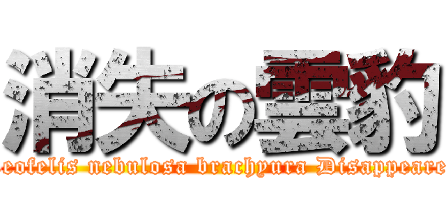 消失の雲豹 (Neofelis nebulosa brachyura Disappeared)