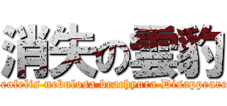 消失の雲豹 (Neofelis nebulosa brachyura Disappeared)