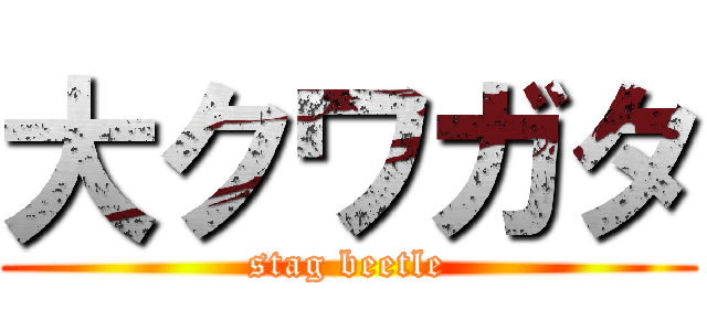 大クワガタ (stag beetle)