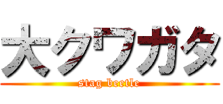 大クワガタ (stag beetle)
