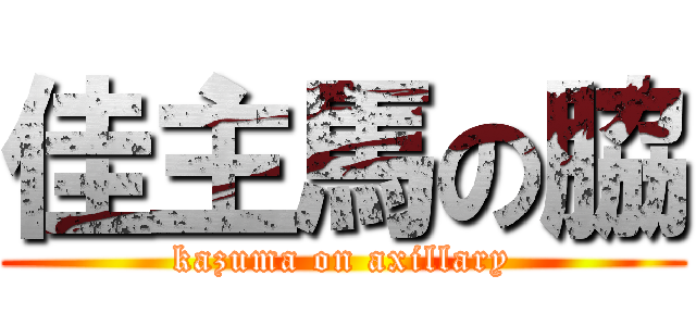 佳主馬の脇 (kazuma on axillary)