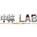 中林 ＬＡＢ (環境適応通信)