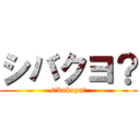シバクヨ？ (sibakuyn?)