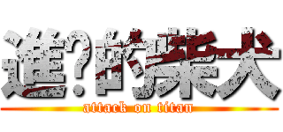 進擊的柴犬 (attack on titan)