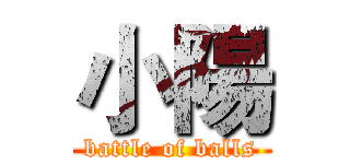 小陽 (battle of balls)
