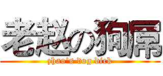 老赵の狗屌 (zhao's dog dick)