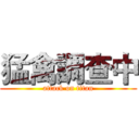 猛禽調查中 (attack on titan)