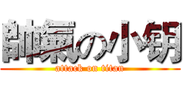 帥氣の小钥 (attack on titan)