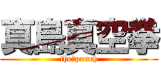 真島真空拳 (the・punch)