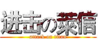 进击の萊信 (attack on titan)