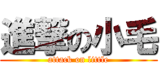 進撃の小毛 (attack on little)