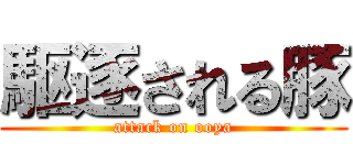 駆逐される豚 (attack on ooya)