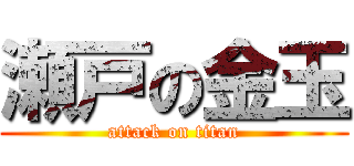 瀬戸の金玉 (attack on titan)