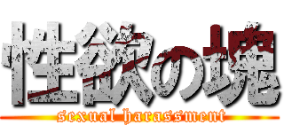 性欲の塊 ( sexual harassment)