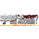 宇智波騙你 (うちは cheat you)