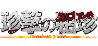 珍撃の粗珍 (attack of penis)